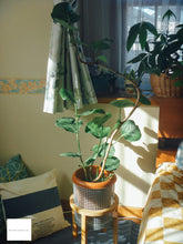 画像をギャラリービューアに読み込む, Panasonic Lumix DMC-FP1GR【希少❗️】【完動品】▪️オールドコンデジ▪️デジタルカメラ