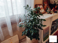 画像をギャラリービューアに読み込む, OLYMPUS XZ-1【完動品】【美品❗️】【希少名機❗️】オールドコンデジ