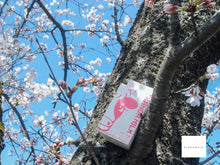 画像をギャラリービューアに読み込む, RICOH Caplio500G Wide【美品❗️】【完動品】【実写済み❗️】▪️オールドコンデジ▪️デジタルカメラ