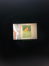 画像をギャラリービューアに読み込む, Canon EOS kiss5