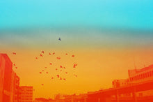 Load image into Gallery viewer, Information 2 minutes 1 effect film 200 36 shots