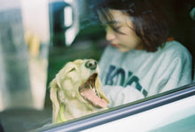 Load image into Gallery viewer, VIBE400 (35mm film) Color negative film 27 shots