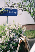 画像をギャラリービューアに読み込む, OLYMPUS PEN-EE【完動品】