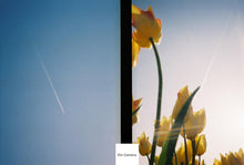 Load image into Gallery viewer, OLYMPUS PEN EF 紫日和🍇🫖【完動品】ハーフカメラ
