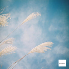 画像をギャラリービューアに読み込む, MAMIYA Sketch｜超希少✨Forest Olive 🌲（Ein Cameraオリジナル） 35mmで“ましかく”が撮れる唯一の国産カメラ【完動品】
