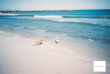 Load image into Gallery viewer, Canon Autoboy F 【完動品】オートボーイ隠れ名作品❗️全自動コンパクトカメラ🎞️
