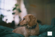 画像をギャラリービューアに読み込む, 📸 Nikon F &amp; 50mm F1.4  2種類のファインダー付き｜名機をじっくり楽しむ一眼レフ【完動品✨】
