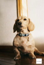 Load image into Gallery viewer, FUJIFILM Natura Classica｜美品✨希少❗️【完動品/実写済み】初心者さんに優しい人気フィルムカメラ📸
