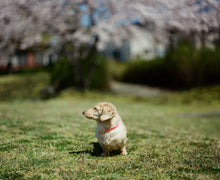 画像をギャラリービューアに読み込む, PENTAX 6x7 + Takumar 105mm F2.4【実写済/美品✨】バケペン📸名機中判カメラ
