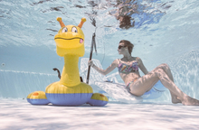 Load image into Gallery viewer, 🐟水中、陸上二刀流❗️【完動・美品】Nikon ピカイチ L35AWAD《カリブモデル》激レア❗️フィルム初心者にも📸✨
