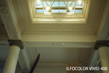 画像をギャラリービューアに読み込む, ILFORD ILFOCOLOR 400 PLUS / VIVID 400｜選べる2タイプ✨ 海外カラーネガフィルム 35mm・36枚撮り【期限内】1本売り
