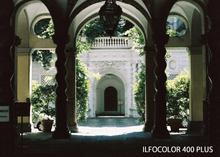 画像をギャラリービューアに読み込む, ILFORD ILFOCOLOR 400 PLUS / VIVID 400｜選べる2タイプ✨ 海外カラーネガフィルム 35mm・36枚撮り【期限内】1本売り
