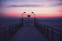 画像をギャラリービューアに読み込む, FILM NEVER DIE DRAGON FLY 100（35mmフィルム）カラーネガ 36枚撮り【期限内✨】1本売り
