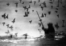 画像をギャラリービューアに読み込む, Svema Foto 100【35mmモノクロネガフィルム】ISO100・36枚撮り・海外フィルム✈️】1本売り
