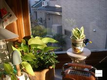 Load image into Gallery viewer, 📸 PENTAX Optio W10【完動品】人気の防水仕様🏄🌊｜CCDオールドコンデジ✨
