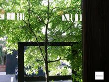 Load image into Gallery viewer, 希少❗️PENTAX OPTIO X 📷❗️画面が動く！近未来的なデザイン✨極上美品・CCD搭載・完動品【オールドデジカメ】
