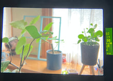 画像をギャラリービューアに読み込む, Contax Aria &amp; Planar 50mm F1.4 MMJ &amp; ストラップ付き　実写済み　完動品

