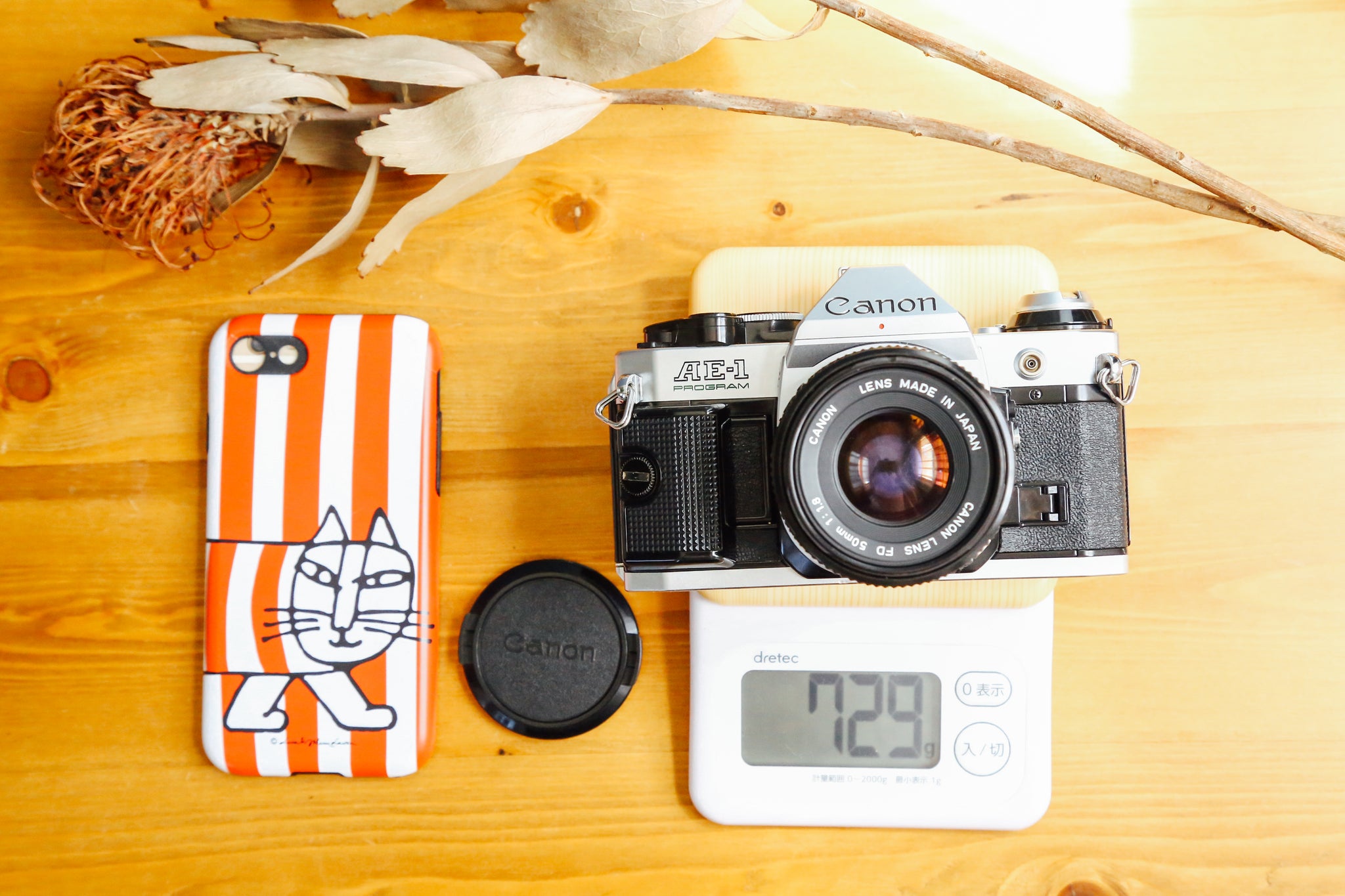 Canon AE-1PROGRAM 【完動品】 – Ein Camera