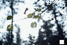 Load image into Gallery viewer, HELIOS-44M 58mm F2 M42 Screw Mount Lens【完動品】PENTAX SP/SPF/SV対応！バブルボケの名玉✨
