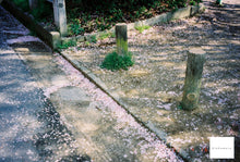 Load image into Gallery viewer, OLYMPUS OZ120ZOOM【完動品】ショップ人気No.1✨全自動フィルムカメラ
