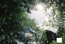 画像をギャラリービューアに読み込む, OLYMPUS 35DC ✨北欧ブルーレザー仕上げ🦕🌳完動/実写済み｜40mm F1.7｜露出計OK｜整備済み
