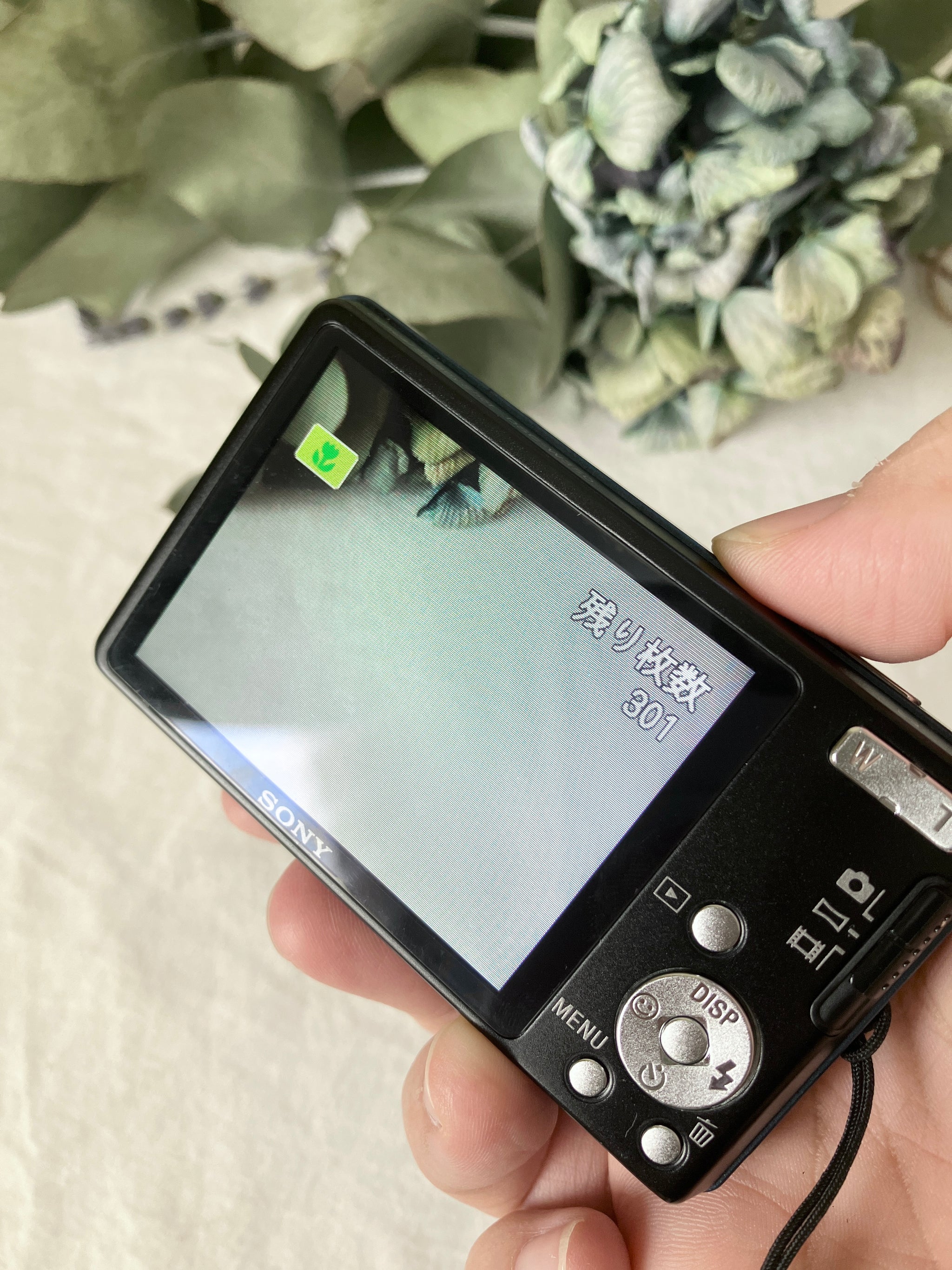 SONY DSC-W350【完動品】▪️オールドコンデジ▪️デジタルカメラ