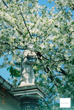 Load image into Gallery viewer, OLYMPUS OZ120ZOOM【完動品】ショップ人気No.1✨全自動フィルムカメラ
