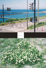 Load image into Gallery viewer, OLYMPUS PEN F 珍しい赤文字の花柄【完動品】【希少】一眼レフハーフカメラ
