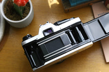Load image into Gallery viewer, OLYMPUS OM10 イエローリザード🍯【完動品】
