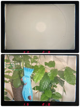 画像をギャラリービューアに読み込む, Canon A-1 50mmF2 &amp; 35-70mmF4 2レンズセット【完動品】初心者にもおすすめ▪️名機フィルム一眼
