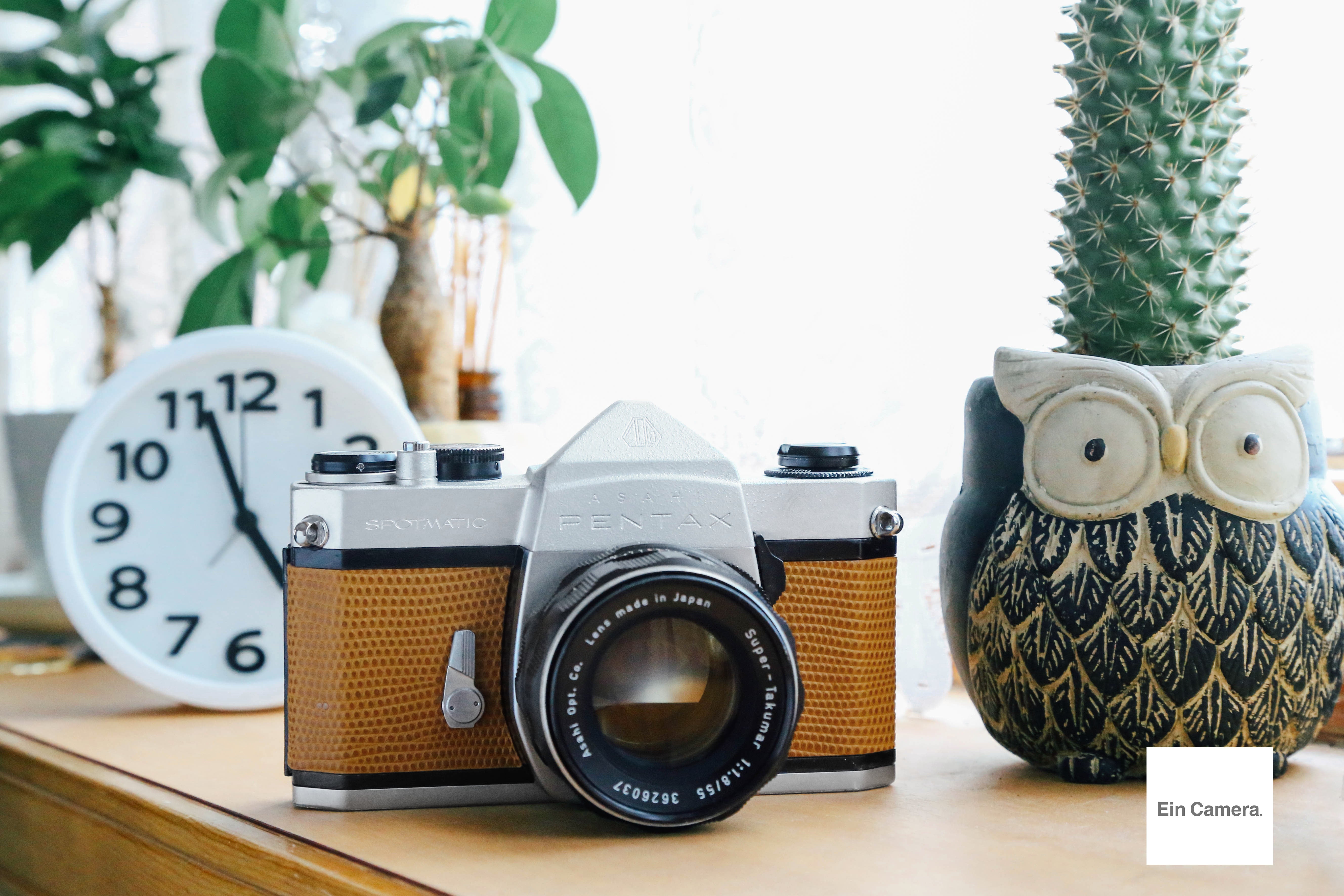 PENTAX SP 塗装＆リザード革🍊【完動品】 – Ein Camera