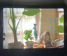 Load image into Gallery viewer, OLYMPUS OM-1 ブラックボディ ✨明るいパンケーキレンズ付き【完動品】🐦‍⬛🥞

