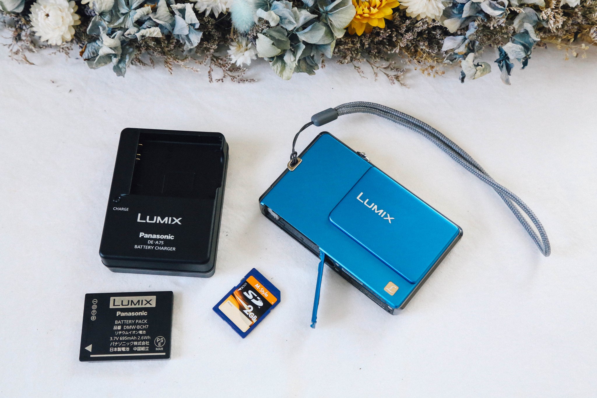 美品・ブルー】LUMIX FP1 ［CFカード対応?✨使い方ガイド付き 