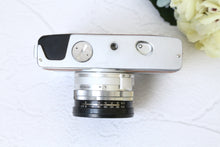 Load image into Gallery viewer, Minolta 7s Castagna🌰【完動品】状態◎
