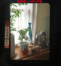 画像をギャラリービューアに読み込む, OLYMPUS PEN FT ✨完動品/実写確認済み📸 ハーフサイズ名機｜露出計OK｜38mm F1.8レンズ付｜整備済み/初心者OKセット🎞
