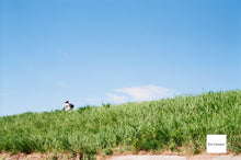 画像をギャラリービューアに読み込む, CONTAX G1｜唯一無二のAFレンジファインダー✨ 90mmF2.8レンズ付き【完動品／実写済】
