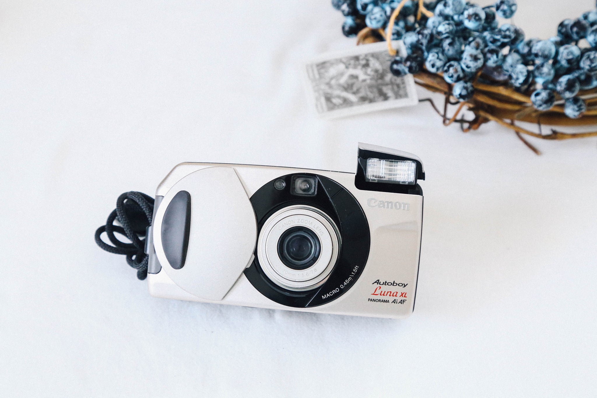 Canon Autoboy Luna XL【完動品/美品✨】月デザイン🌙初心者向き