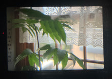 Load image into Gallery viewer, Konica FT-1 &amp; 50mmF1.7 セット 希少❗️【完動品/美品✨】単四電池で動くフィルム一眼レフ📷
