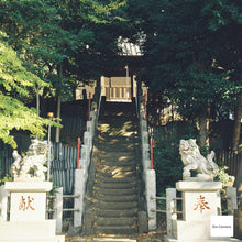 Load image into Gallery viewer, YASHICA-44 【完動品/美品✨】実写済み🎞️127mm二眼レフカメラ❗️ベスト版カメラ
