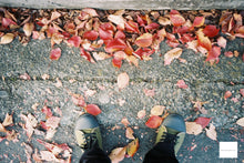 Load image into Gallery viewer, OLYMPUS OZ120ZOOM【完動品】ショップ人気No.1✨全自動フィルムカメラ
