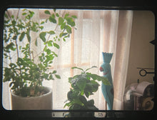 Load image into Gallery viewer, Minolta SRT101｜ファインダーが見やすい＆操作簡単✨ 温かみある写りの一眼レフフィルムカメラ【完動品】
