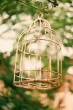 画像をギャラリービューアに読み込む, FUJIFILM 業務用フィルム400 (35mmフィルム) 36枚撮りor 24枚撮り　カラーネガフィルム【期限切れ】 1本売り
