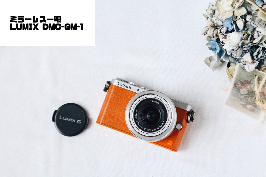 Panasonic LUMIX DMC-GM1 condition ◎▪️ Mirrorless single-lens reflex camera ▪️ Digital camera