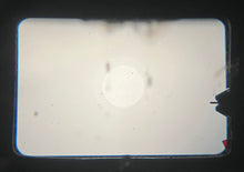 画像をギャラリービューアに読み込む, Rolleiflex SL35 M &amp; Voigtlander 50mm F1.8【完動品✨】希少モデル❗️ローライ35mm一眼レフ
