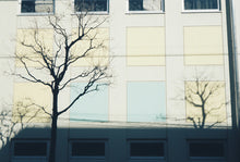 画像をギャラリービューアに読み込む, FUJIFILM Silvi 1600｜完動品・美品✨｜軽量コンパクト高性能ズーム｜初心者さんにもおすすめフィルムカメラ
