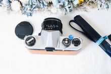 Load image into Gallery viewer, PENTAX SP(SV) クリスマスブラウン🎄🍫【完動品】55mmF1.8 明るいタクマーレンズ付き❗️
