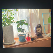 画像をギャラリービューアに読み込む, PENTAX 6x7 + Takumar 105mm F2.4【実写済/美品✨】バケペン📸名機中判カメラ
