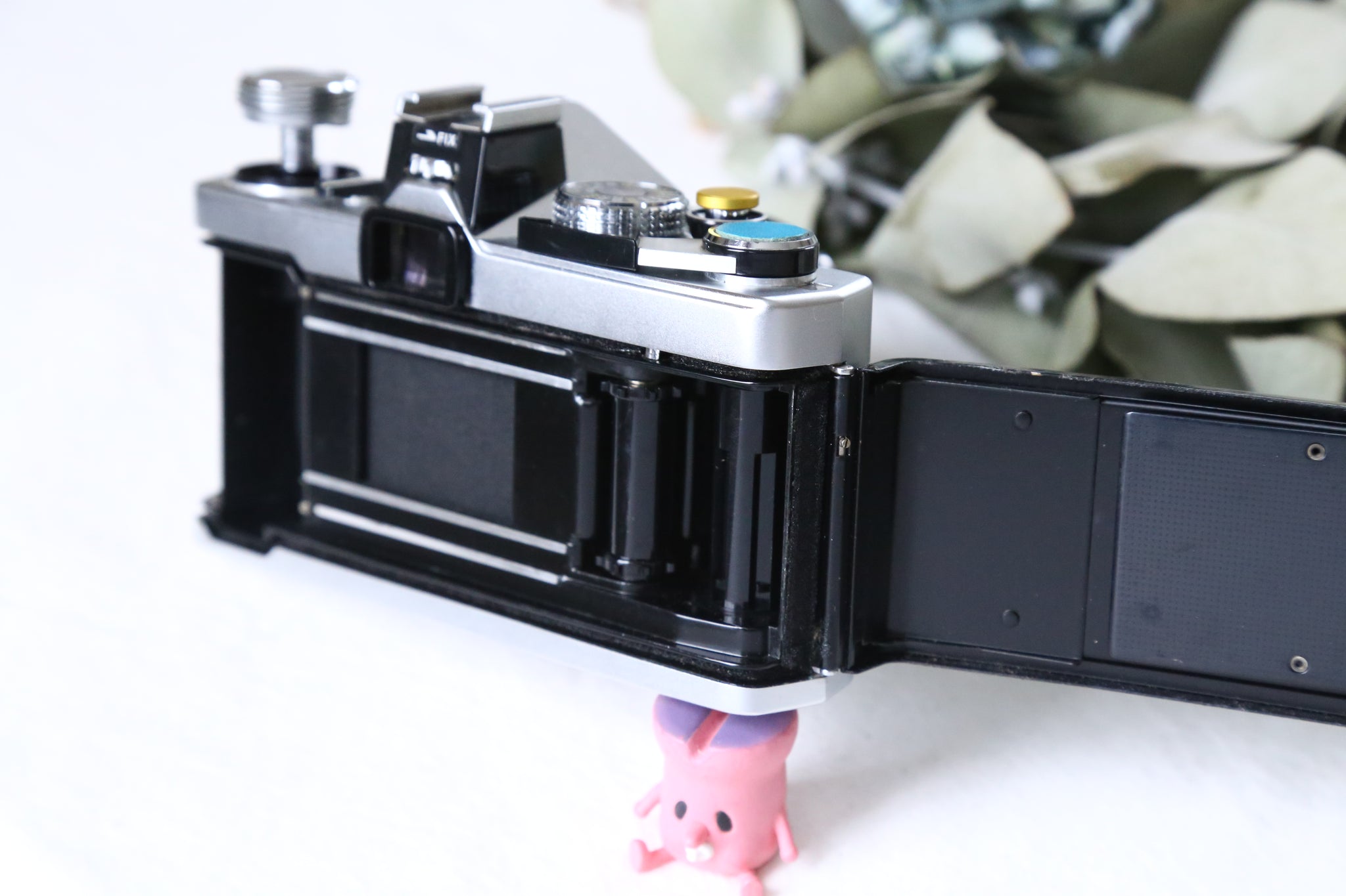 OLYMPUS OM-1 & 50mmF1.8 マットブルー🐬🌊【完動品】状態◎ – Ein Camera
