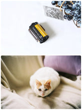 画像をギャラリービューアに読み込む, 期限切れフィルム 各種｜格安〜レアまで📸 冷蔵保存品 35mm/ポジ/中判対応
