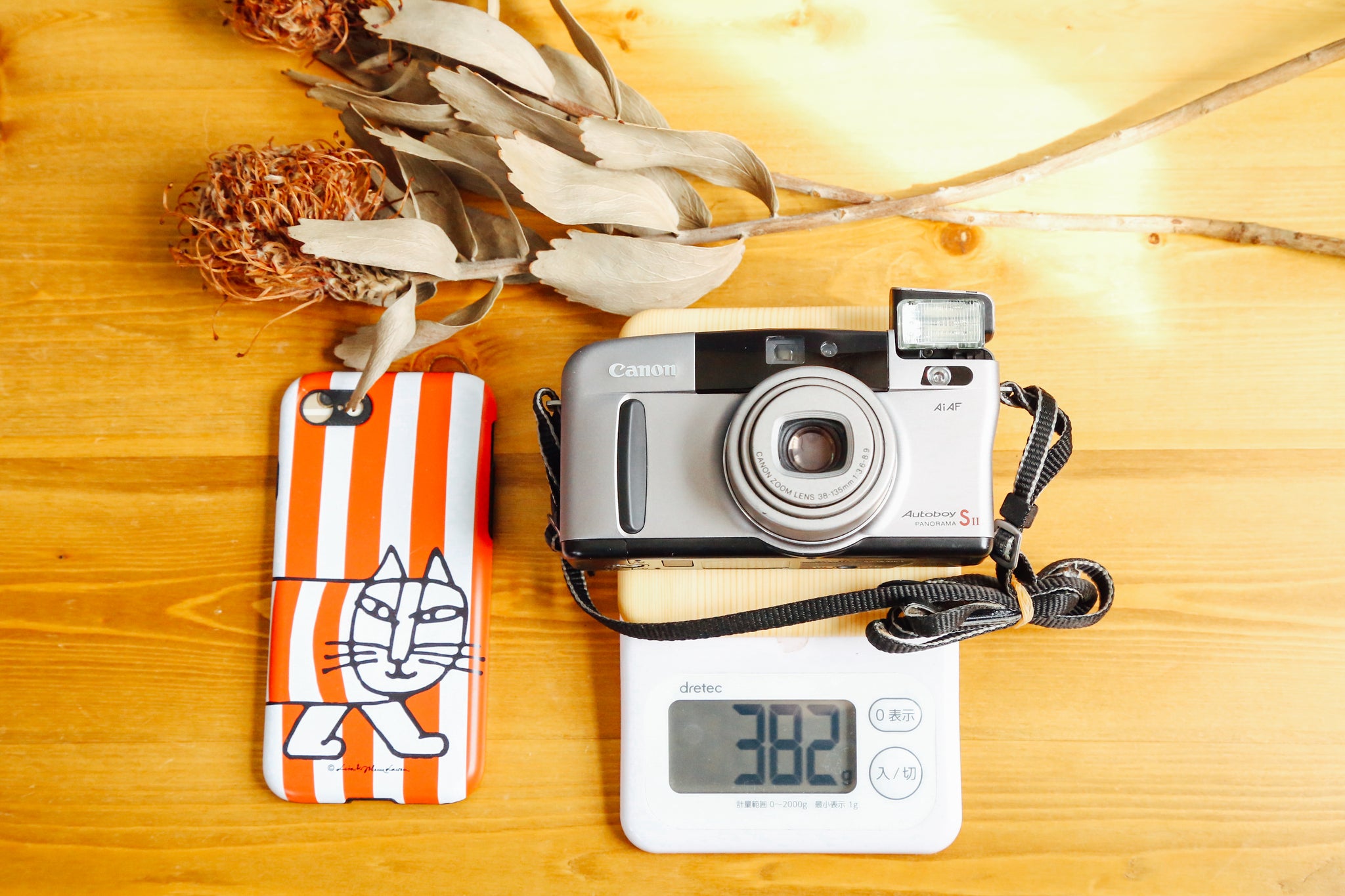 Canon Autoboy SII【完動品】 – Ein Camera